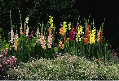 《虚实万象》为何频繁延期发布：为了平衡游戏玩法